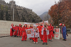 resistenza-manifestazione-bellinzona-131120211