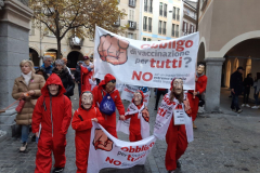 resistenza-manifestazione-bellinzona-1311202114