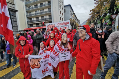 resistenza-manifestazione-bellinzona-131120212
