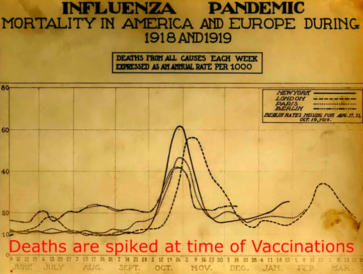 Possibili vere cause delle epidemie e delle pandemie virali