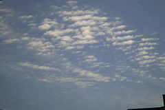 Digital Camera