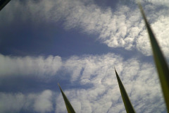 Scie chimiche (Chemtrails) - Locarno, Switzerland, 10.04.2025