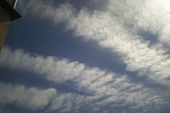 Digital Camera