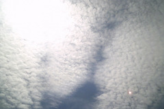 Digital Camera