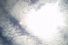 Digital Camera