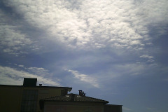 Digital Camera