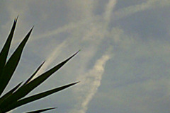 Digital Camera