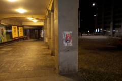 volantinaggio-identita-digitale-elettronica-e-id19